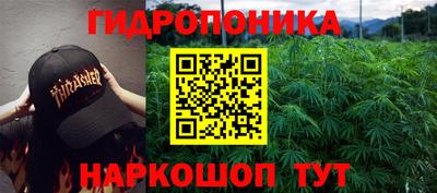 шишки Рыбинск