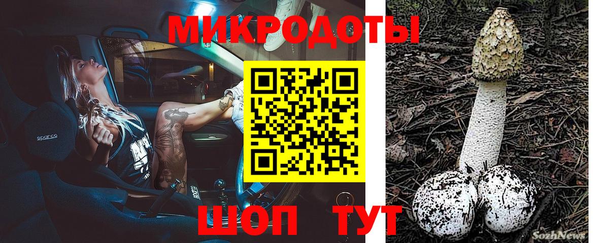 Псилоцибиновые грибы GOLDEN TEACHER Саратов