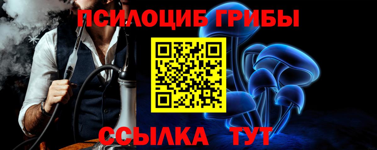 где купить наркоту  Галлюциногенные грибы Psilocybe  Вход с VPN  Саратов 